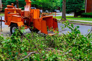 Prosper Tree Removal, Frisco Tree Removal, McKinney Tree Debris Removal
